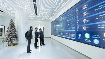 攜手共進(jìn)，開創(chuàng)信息服務(wù)新篇章——上海市信息服務(wù)業(yè)行業(yè)協(xié)會秘書長陸雷一行蒞臨珍島集團(tuán)調(diào)研