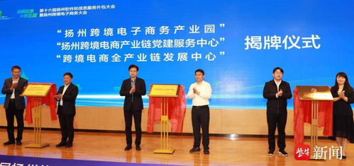 揚(yáng)州軟件和信息服務(wù)外包大會(huì)成功舉辦，廣陵區(qū)國(guó)家電子商務(wù)示范基地正式揭牌