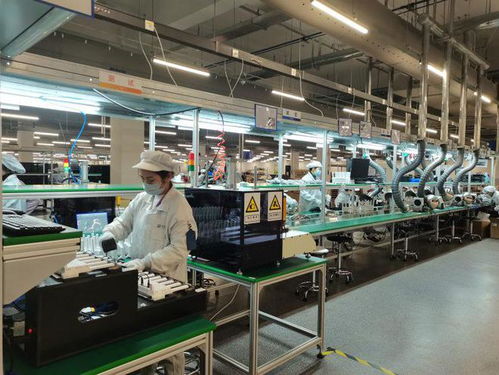 兩江新區軟件和信息服務業加速復工復產，信息服務業務迎來新發展